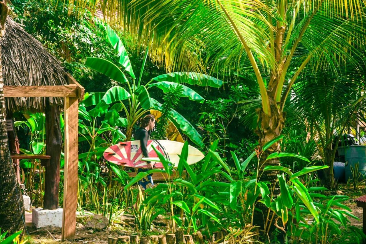 La Choza Playa Venao Hotel Eksteriør billede
